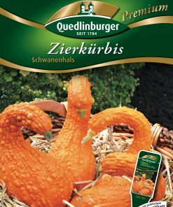 Zierkürbis „Schwanenhals“