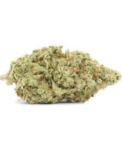 Frozen Lemon Minz CBD Fiori