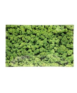 V Syndicate Glastray S Buds