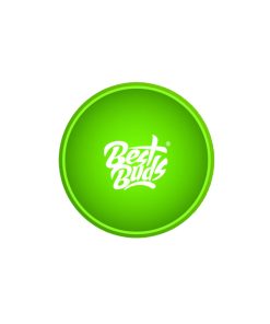 Best Buds – Silicone Mixing Bowl – Green