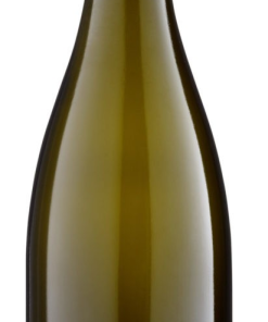 Weingut Apel „Elbling Brut“