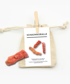 Schaumkoralle