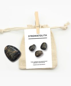 Stromatolith Trommelstein